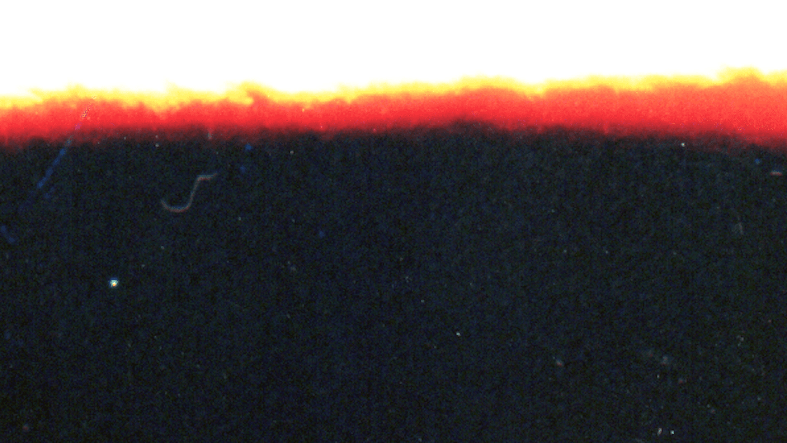 Elevated Documentary Ambiences cover image